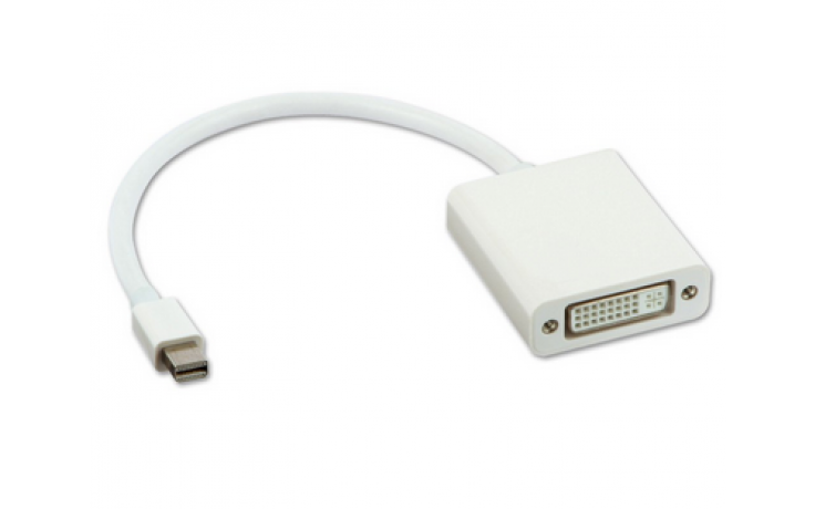MINI displaypoort naar DVI kabel adapter 1080P Mac / HaverCo